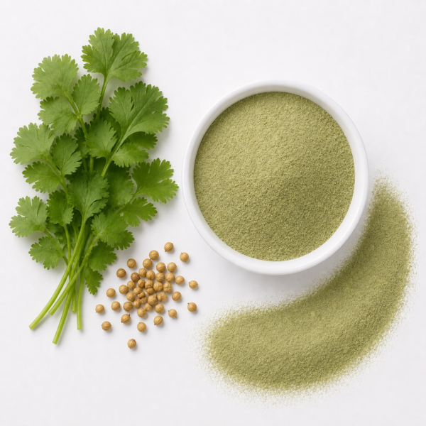 Dehydrated Coriander Powder
