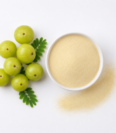 Amla Powder Spray Dried