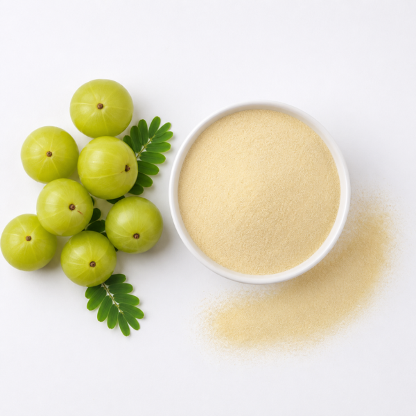 Amla Powder Spray Dried