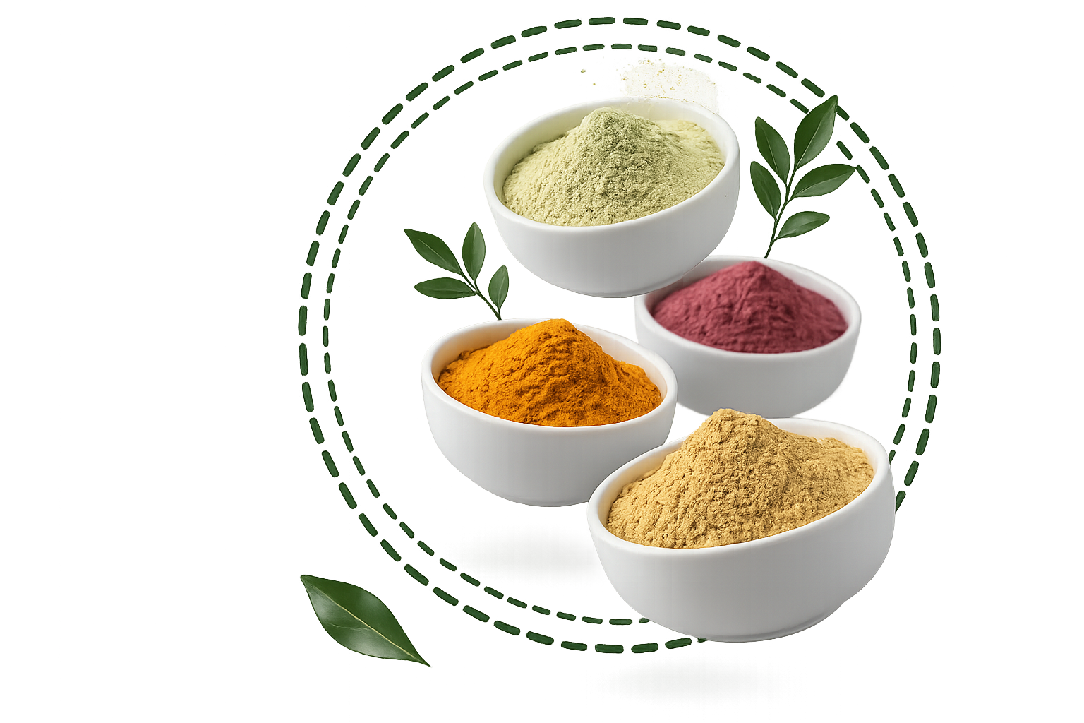 MGK Core premium spray dried food ingredient powders in bowls