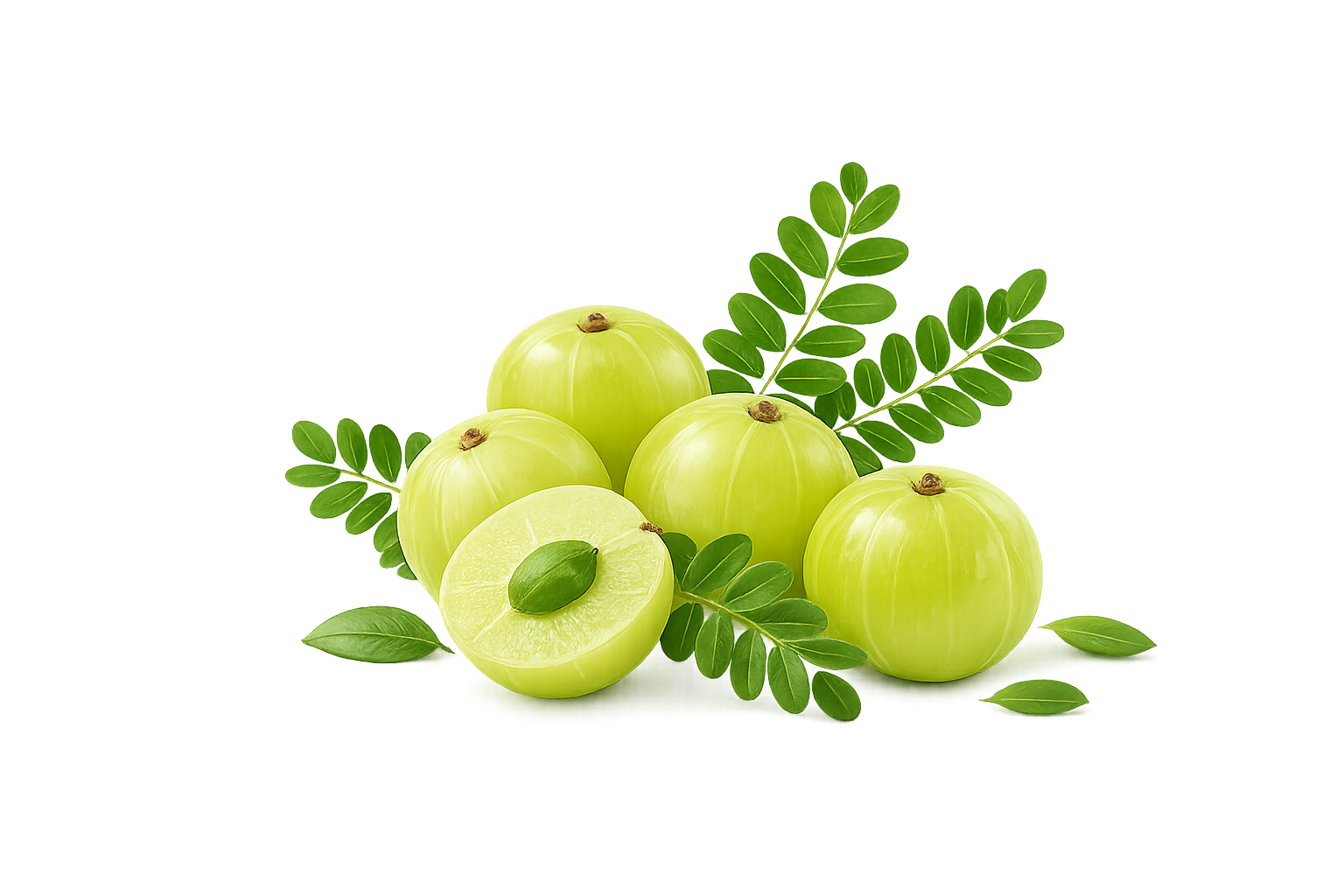 Amla and moringa — Magister range