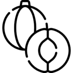 Magister