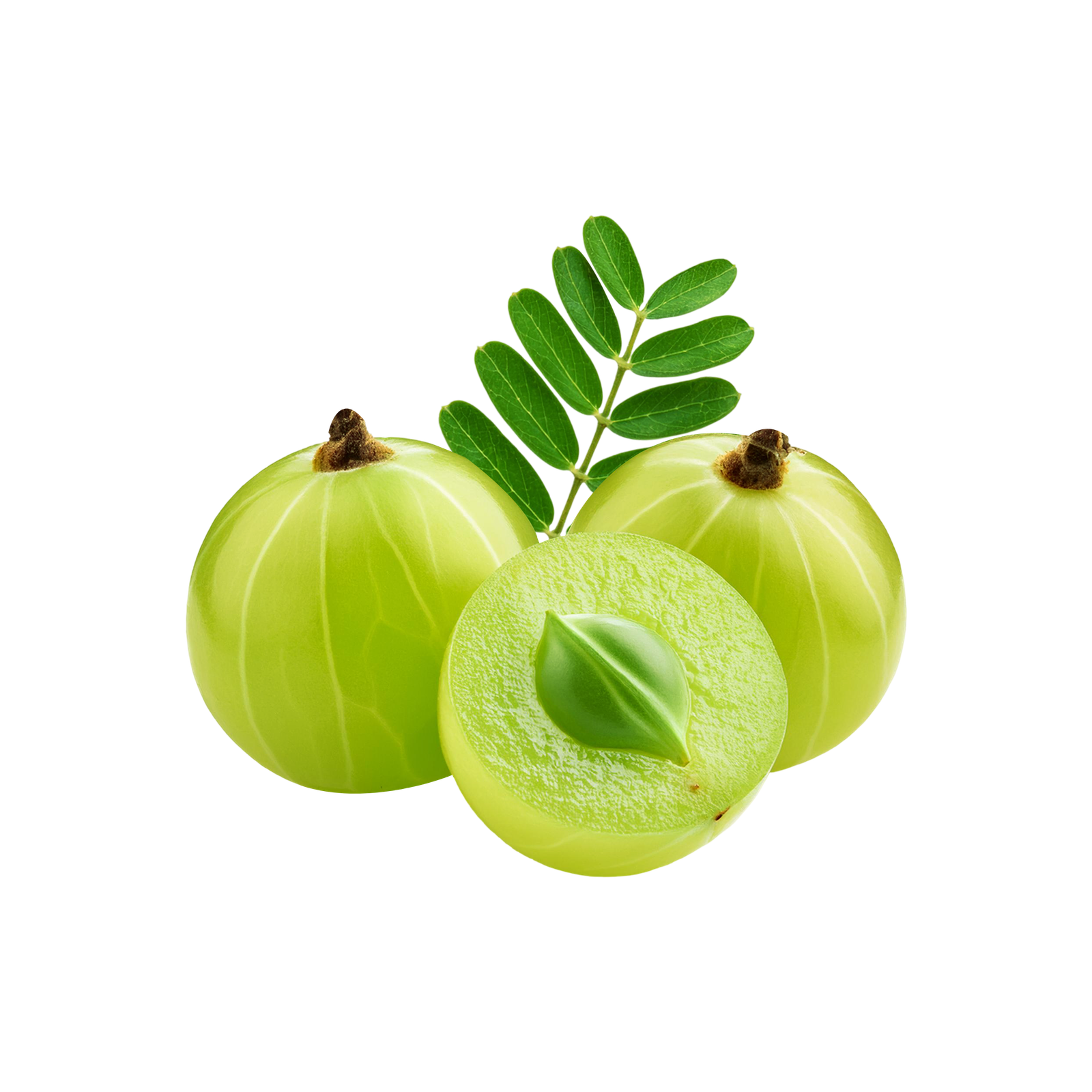 Fresh amla fruit with leaf